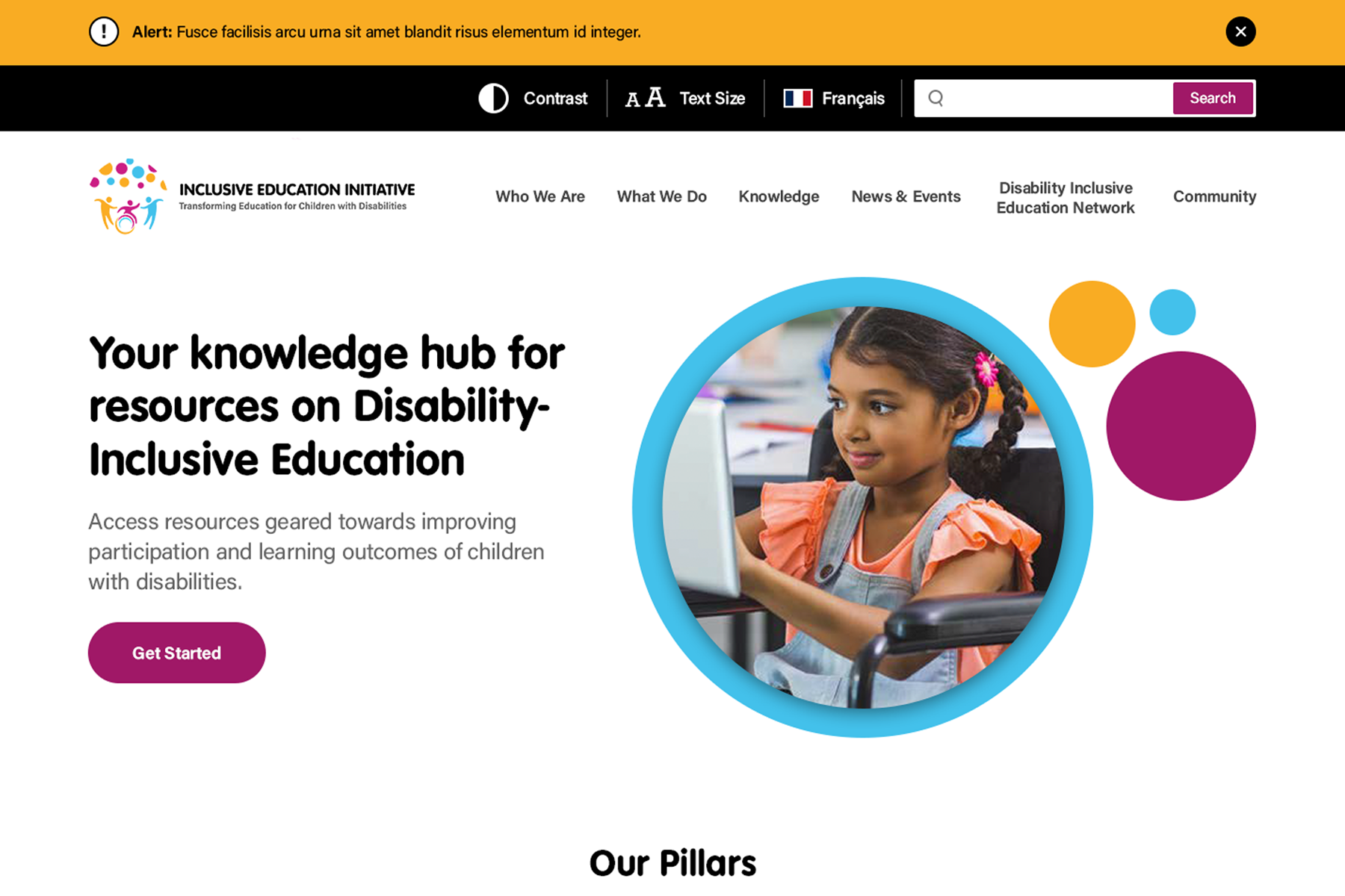 Inclusive Education Initiative